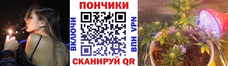 наркотики  Губкинский  Конопля план 